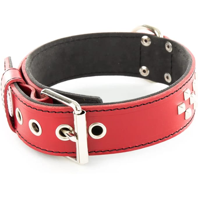 Hondenhalsband van leer Vivog Clou