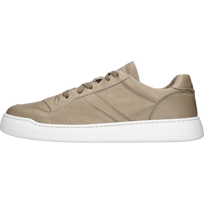 Doucal's Sneakers bruin