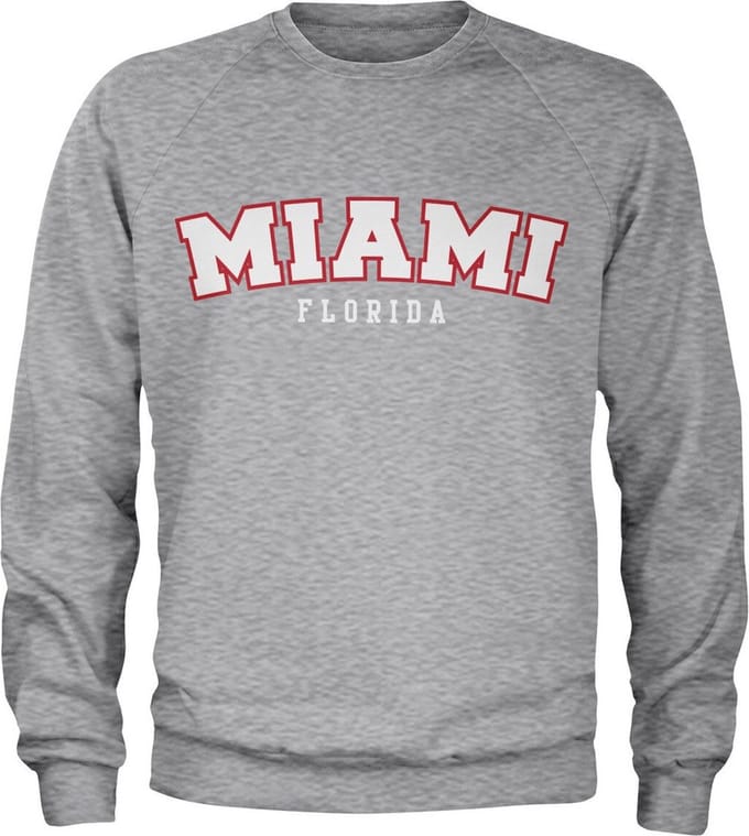 Hybris Miami Florida-sweatshirt, heathergrijs