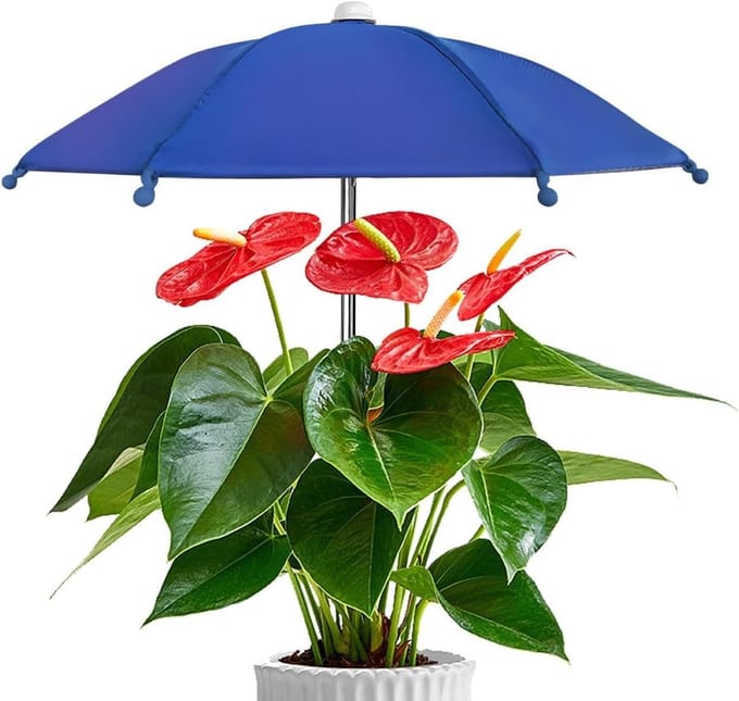 Plantenparasol - Mini paraplu - Planten beschermen - Verstelbare hoek - 27 cm - Saffier