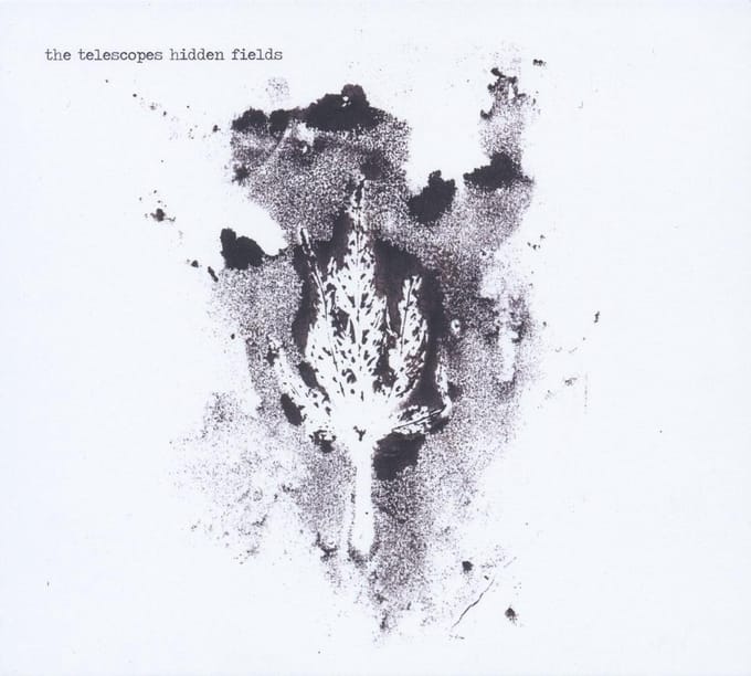 The Telescopes - Hidden Fields (CD)