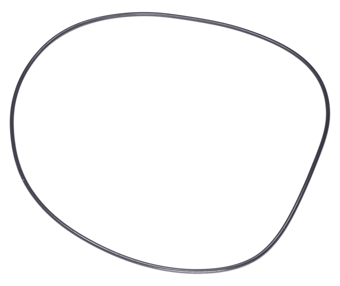 O-ring 113x1