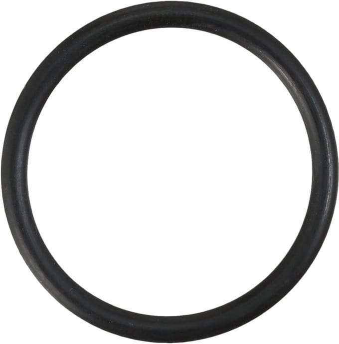 SW-Stahl S3279-22 O-ring lagerschild 18,3x1,7"