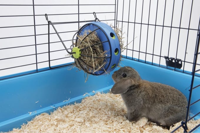 Savic Hooi- en Snackmolen Bunny Toy