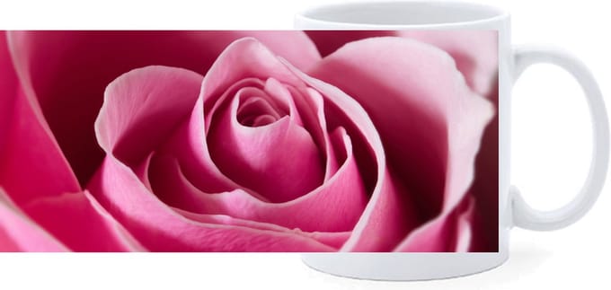 Beker - Close up - Roze Roos