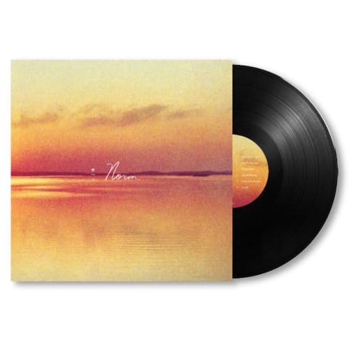Andy Shauf - Norm (LP)