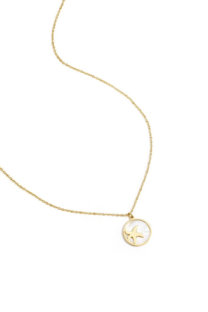 Ketting met zeester in cirkel - zilveren kleur