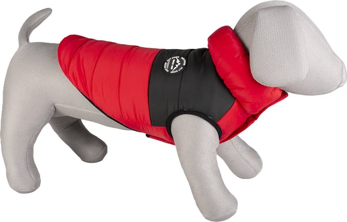 Duvo+ Hondenjas Puffer Rood/Zwart L - 60CM