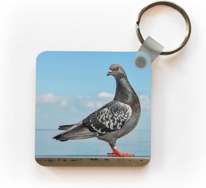 Sleutelhanger - Uitdeelcadeautjes - Duif - Blauw - Lucht - Plastic