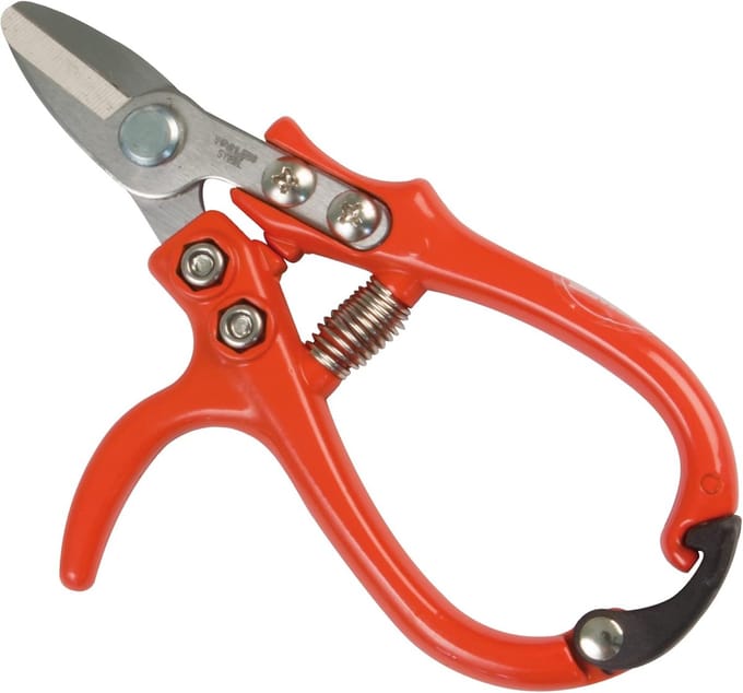 Pluktang Fruit - Citrus Tang - Delicate Oogst - Afgeronde Bladpunt - 140 mm - Rood Zwart