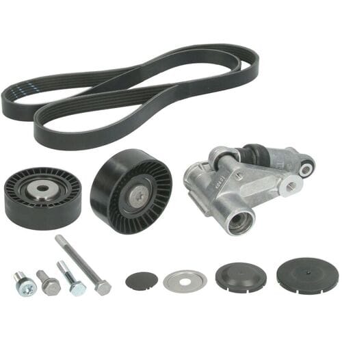 Schaeffler Ina V-snaar set (met rollen) INA 529 0198 10