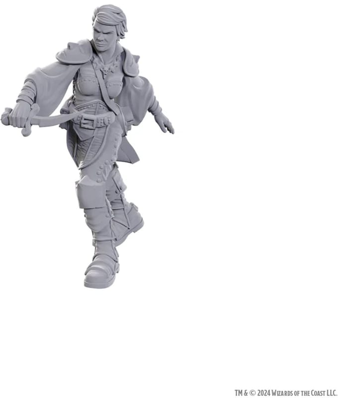 D&D Nolzur's Marvelous Miniatures Swashbuckler