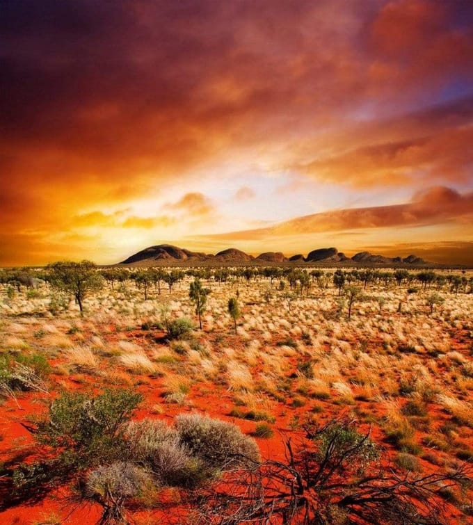 Fotobehang - Australian Landscape 225x250cm - Vliesbehang
