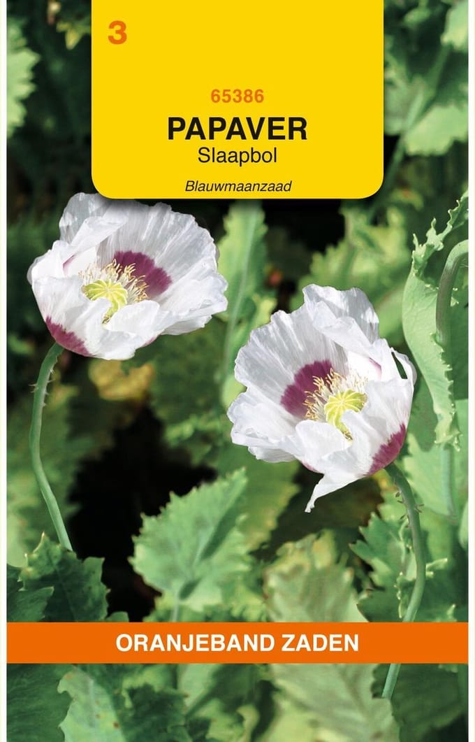 Oranjebandzaden -  Papaver, Slaapbol Blauwmaanzaad