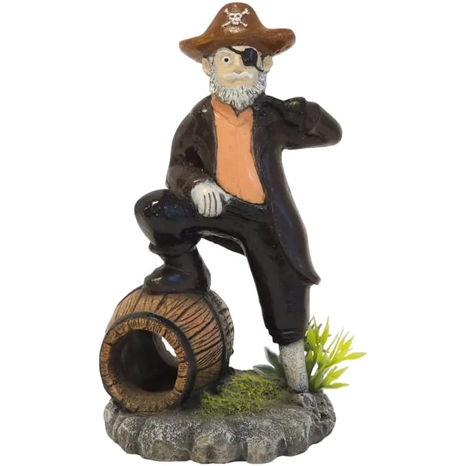 Aquarium decoratie Nobby Pet Pirat