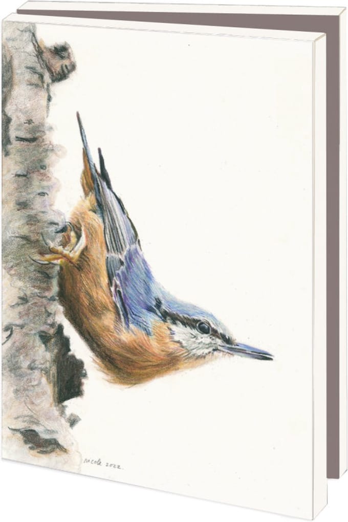 Kaartenmapje met env, klein: Birds, Nicole Boerema