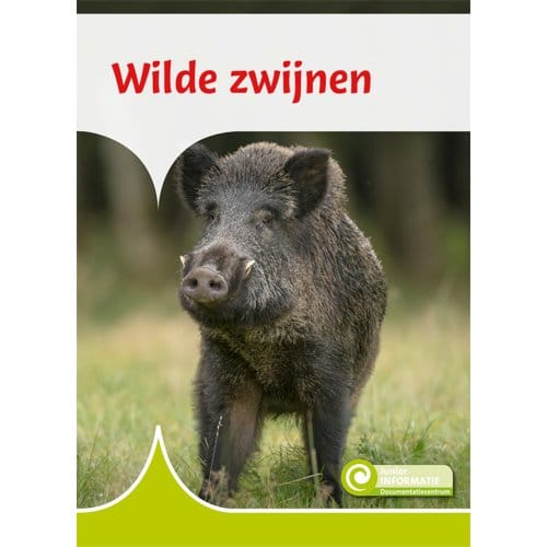 Wilde Zwijnen - Junior Informatie - Geert-Jan Roebers