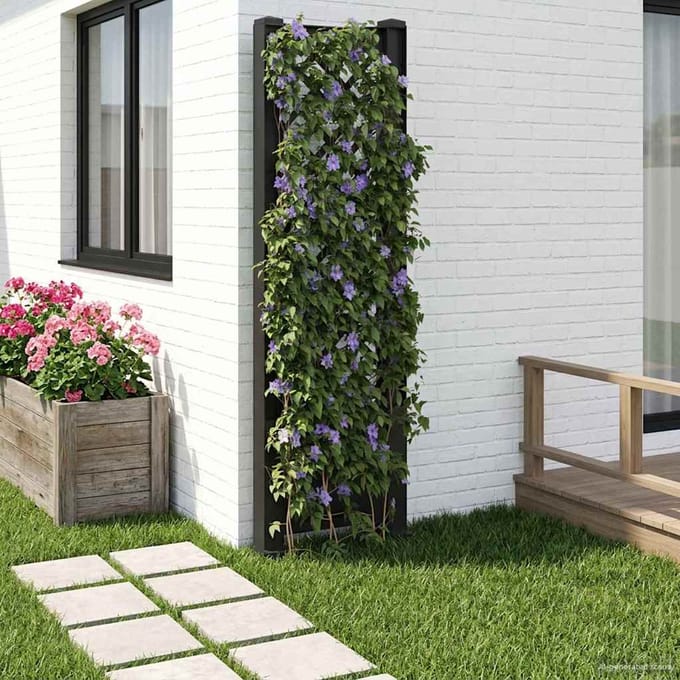 vidaXL - Trellis - met - Spike - PP - Antracietkleurig