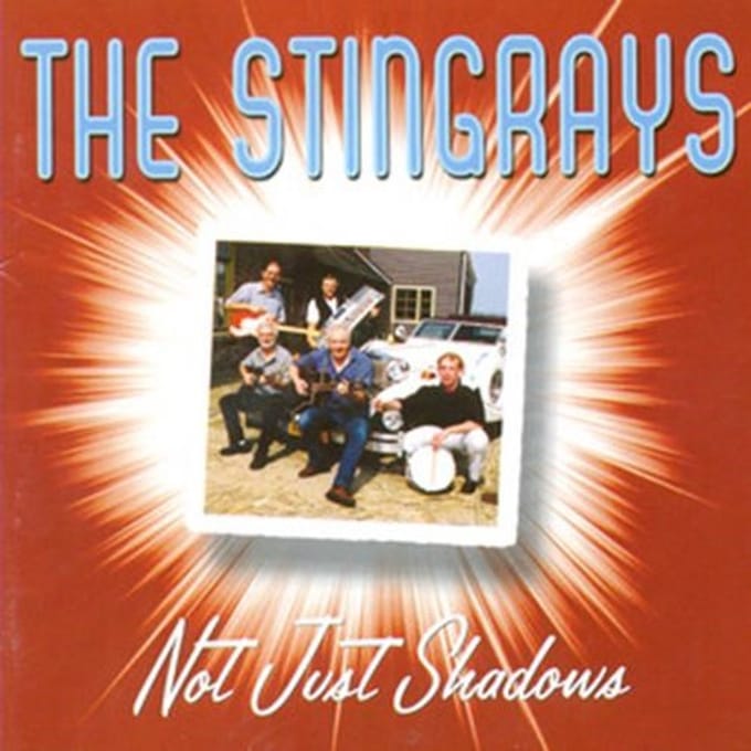 The Stingrays - Not Just Like Shadows (CD)