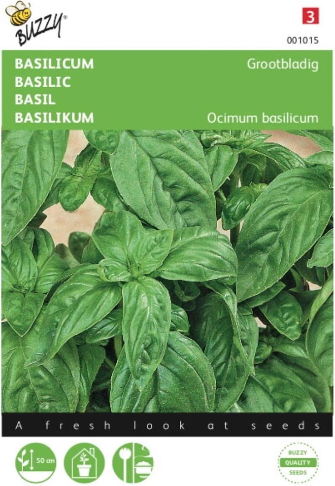 2 stuks Basilicum Grove (Ocimum basilicum)