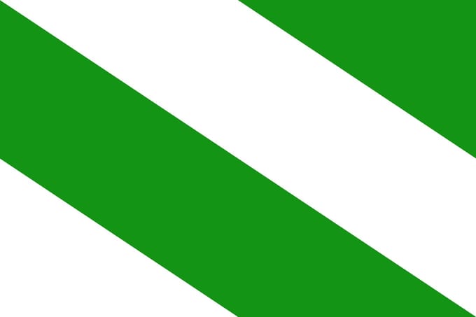 Vlag Evere 150x225cm
