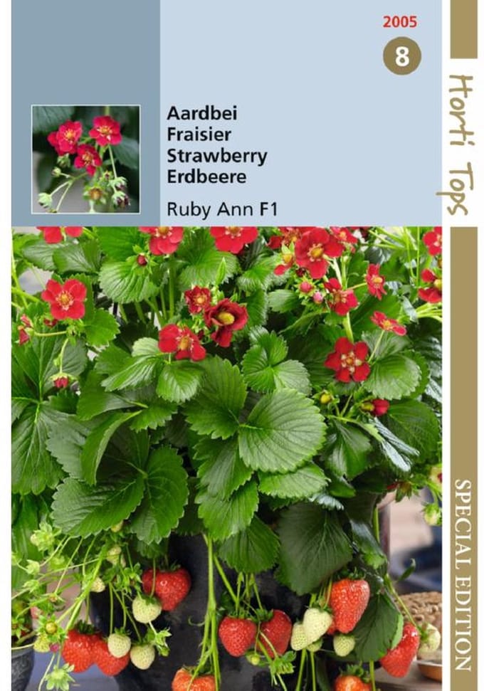 Hortitops zaden - Aardbeien Hangaardbei Ruby Ann F1 BV - Ca. 7 zaden