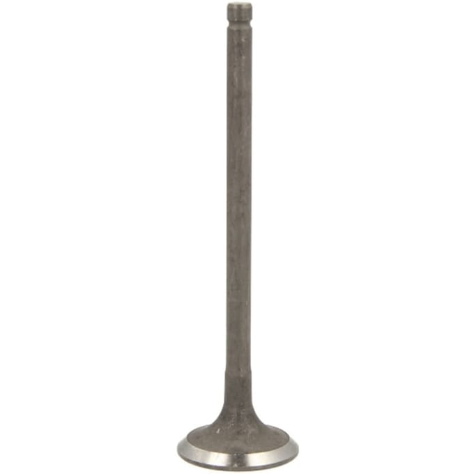 Uitlaatklep FRECCIA R6569/RNT