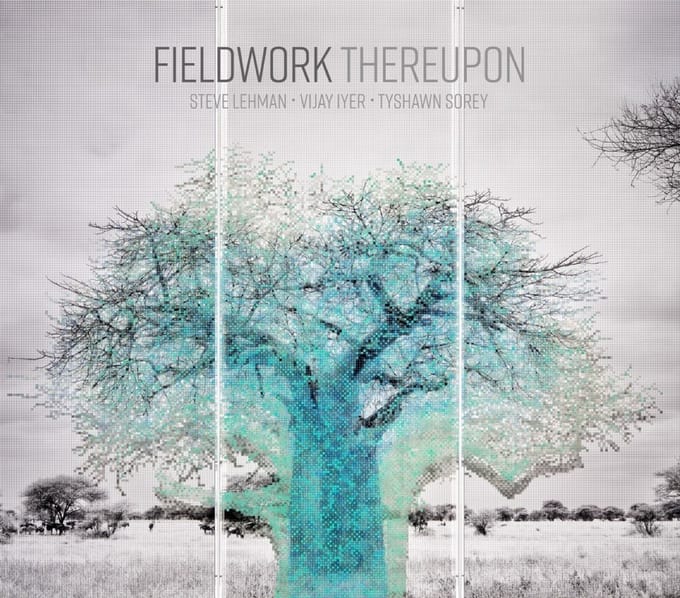 Fieldwork Feat. Vijay Iyer & Steve - Thereupon (CD)