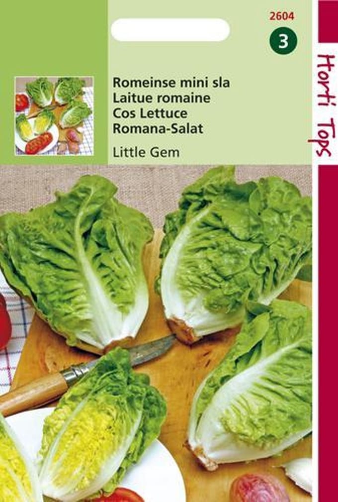 Hortitops Zaden - Bindsla Romeinse mini sla - Little Gem - Sucrine