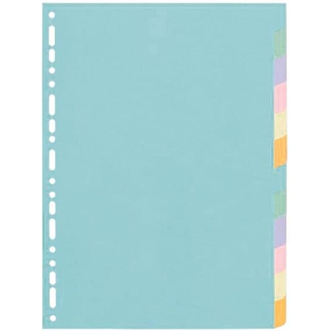 Exacompta Tabbladen gerecycleerd karton 170g - 12 tabs - A4 - Geassorteerd - 1612E