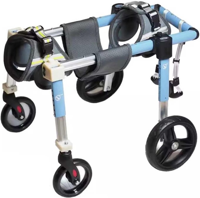 Huisdier Mobiliteit Kar - Honden Rolstoel - Ondersteuning Lopen - Verstelbaar Frame - 4 Wiel - Blauw