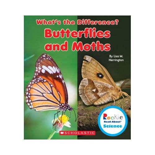 Butterflies & Moths - LISA M. HERRINGTON
