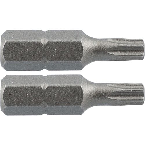 Labor schroefbit TX30x25mm (2 Stuks)