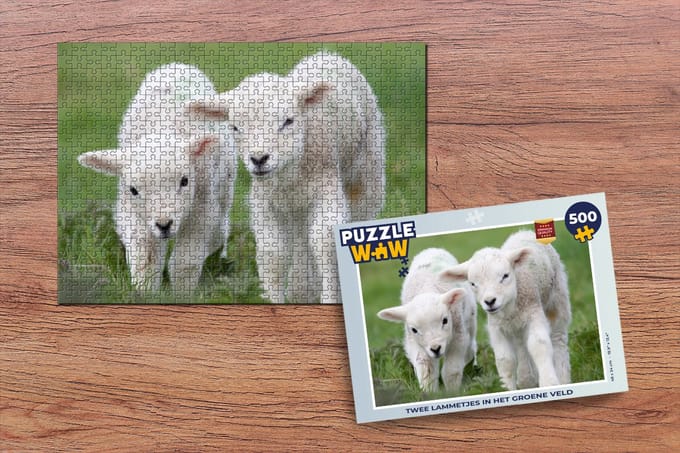 Puzzel Twee lammetjes in het groene veld - Legpuzzel - Puzzel 500 stukjes