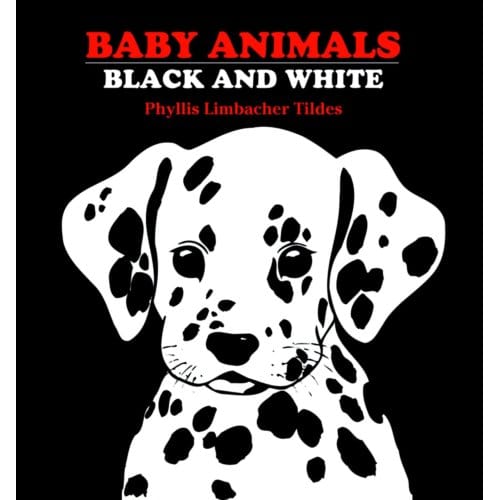 Baby Animals Black And White - Phyllis Limbacher Tildes