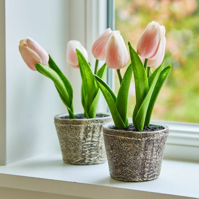 LOBERON Siertulpen set van 2 Zéphine roze