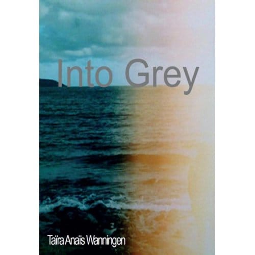 Into Grey - Taïra Anaïs Wanningen