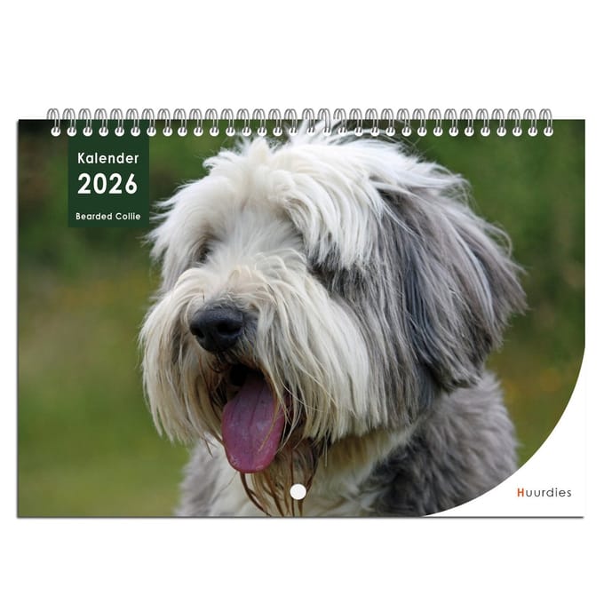 Huurdies - Kalender 2026 - Bearded Collie - A3