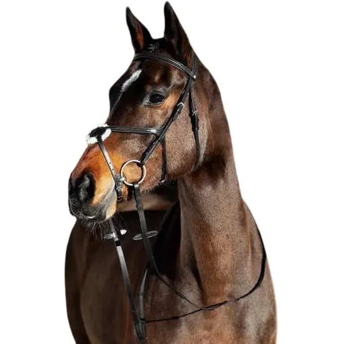 Horze Prescott Mexicaanse Neusriem Hoofdstel, Black, Warmblut