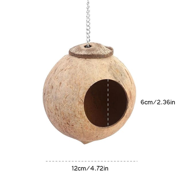 1 mangeoire à oiseaux en coquille de noix de coco naturelle avec trou de 6 cm beige