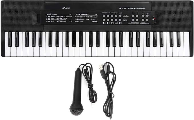 54 Toetsen Elektronisch Keyboard met Microfoon en Opnamefunctie