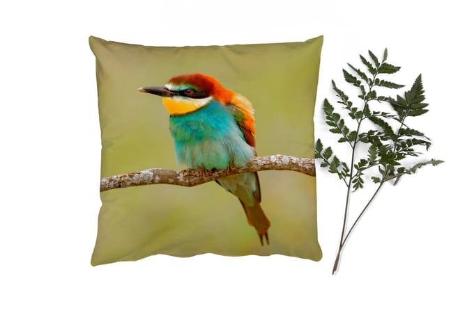 Sierkussens - Kussentjes Woonkamer - 60x60 cm - Vogel - Bijeneter - Dieren