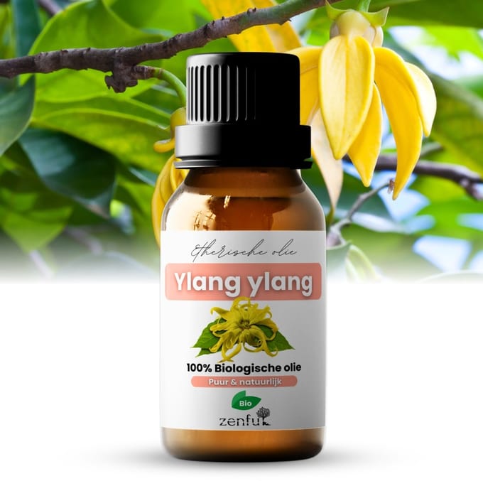 Ylang ylang olie - 100% Biologisch & Puur - Etherische olie - Natuurlijk - Aromatherapie - 10 ml