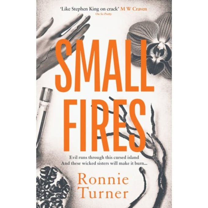 Small Fires - Ronnie Turner