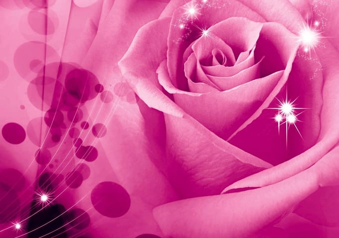 Poster | Roze | 104 x 70,5 cm