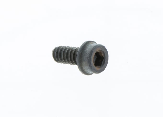 Screw