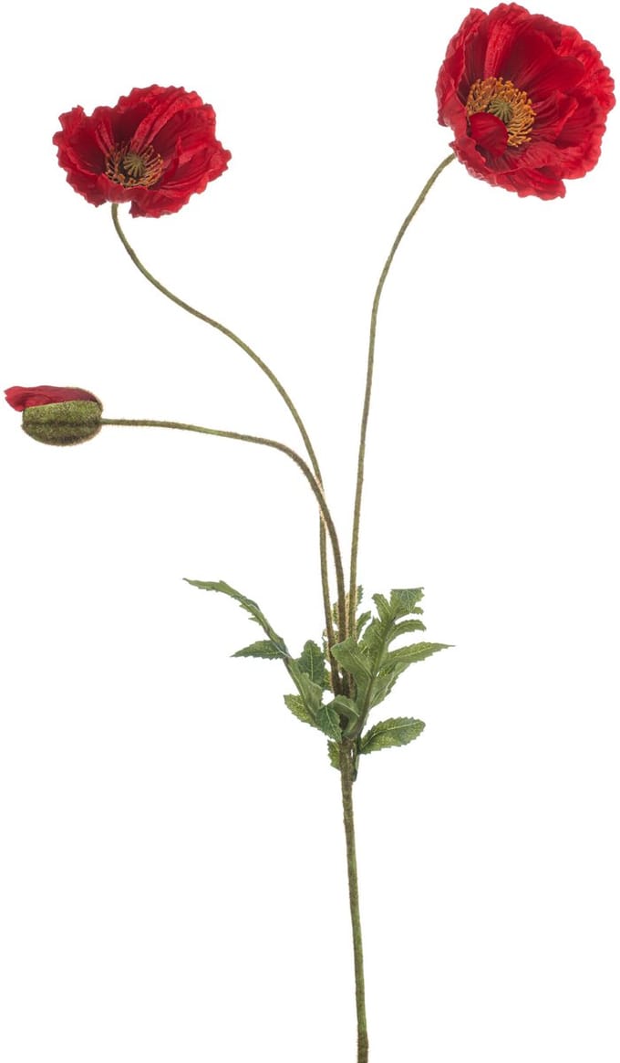 Emerald - Kunstbloem Klaproos rood 75cm - Kunstplant voor binnen