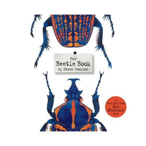 Beetle Book - Steve Jenkins