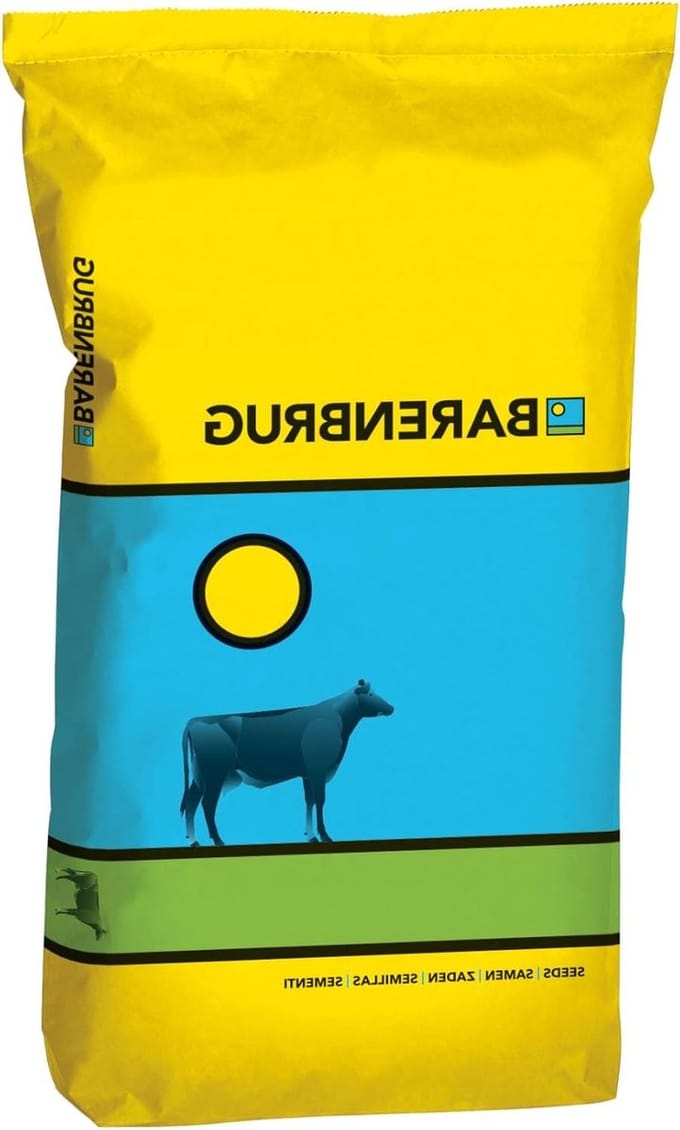 Graszaad - Weidemengsel Gazonzaad - Gazon Herstellen - Wintervast - 15kg - Groen