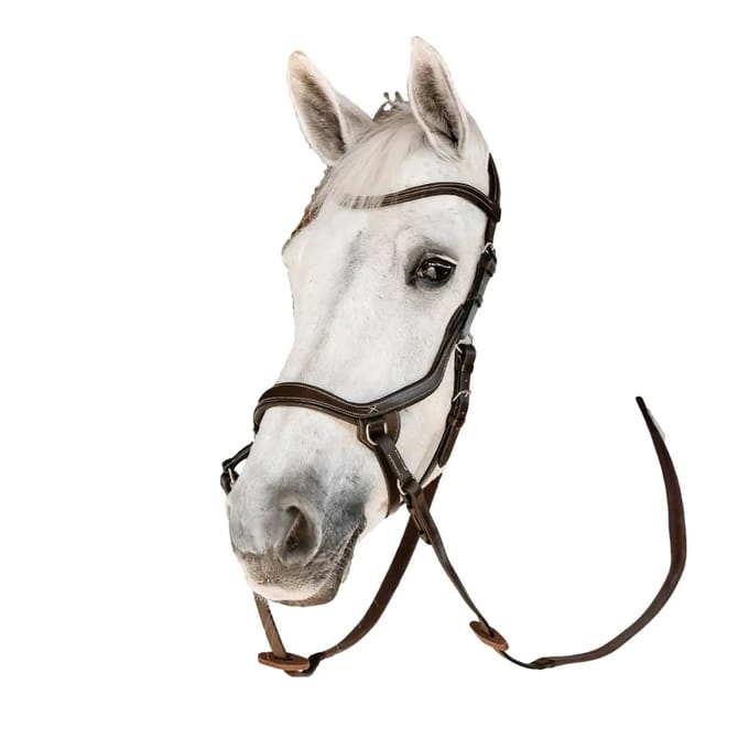 Bitloos hoofdstel voor paarden Horseware Micklem